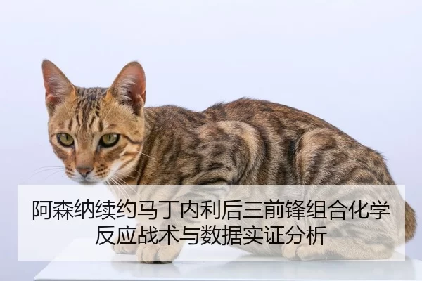 阿森纳续约马丁内利后三前锋组合化学反应战术与数据实证分析